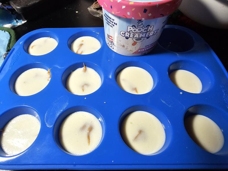 POOCH CREAMERY Vanilla Flavor Ice Cream Mix Dog Treat, 5.25-oz cup 