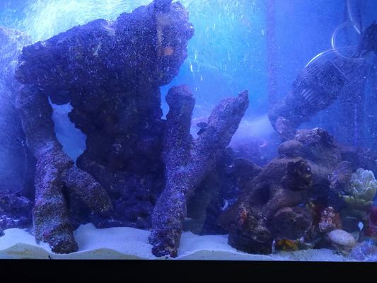 CaribSea LifeRock Shroom  Saltwater Tank