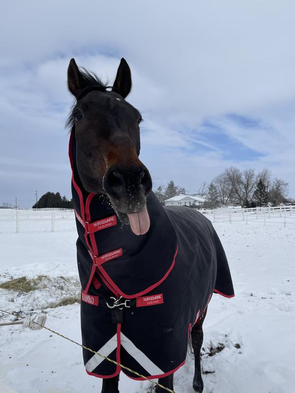 "More treats please!"