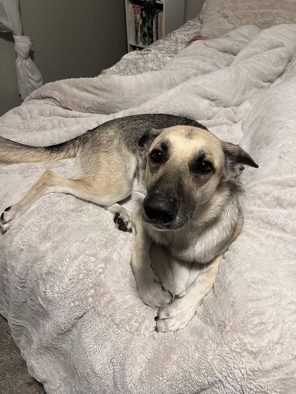 Amari smells & looks amazing!