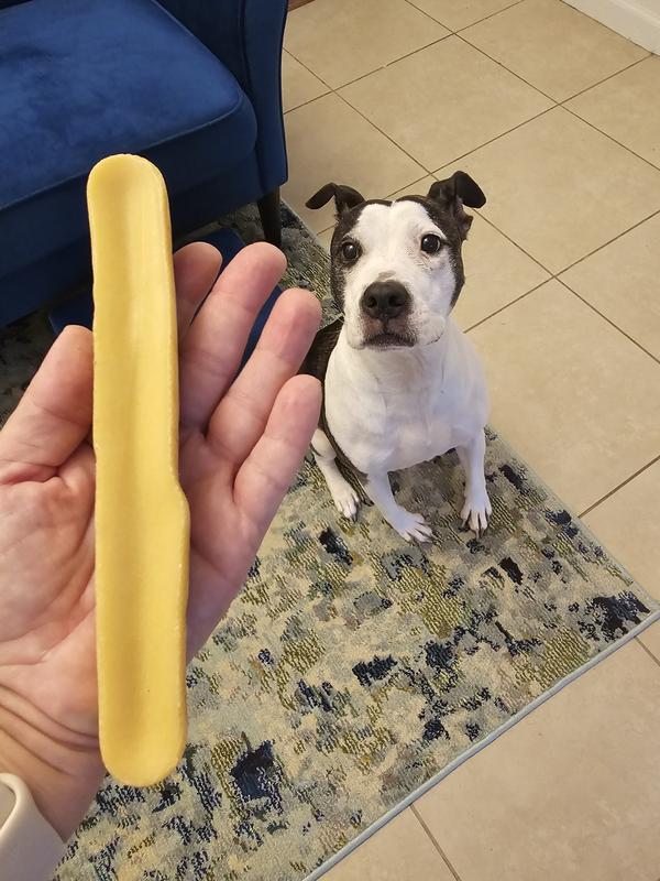 These chews are huge!