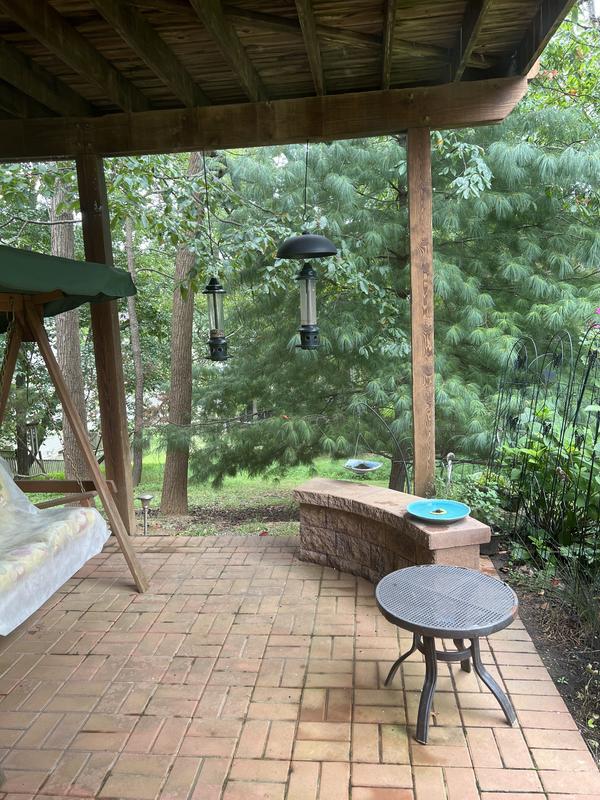 Feeders on my patio