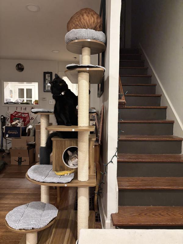 5 minutes after building was complete