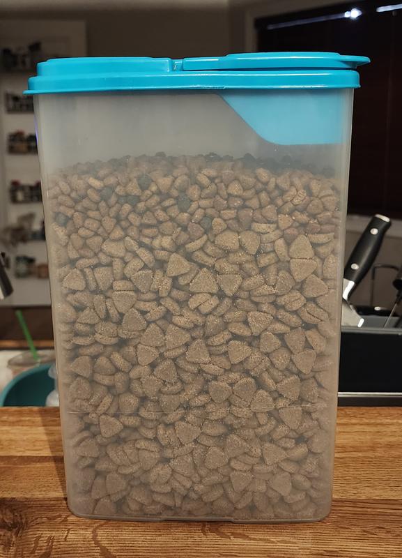 Top layer is my puppy food, bottom layer is THIS kibble