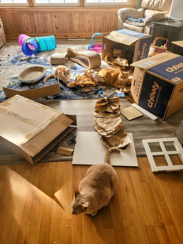 When Chewy comes :-)