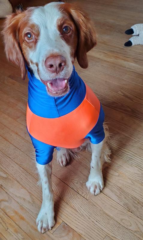 Frisco 30+ UPF Dog & Cat Beach Rash Guard