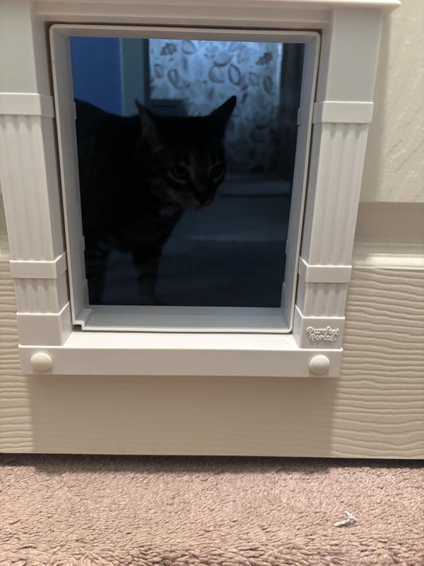 Squirrel looking through - photo from the basement side.