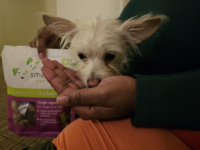 He licked my hand clean after sampling the treats!