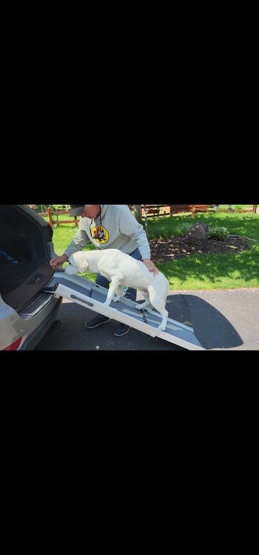 Mr Bojangles first try!