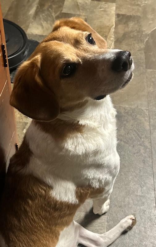 Give it to me nowwww mom!