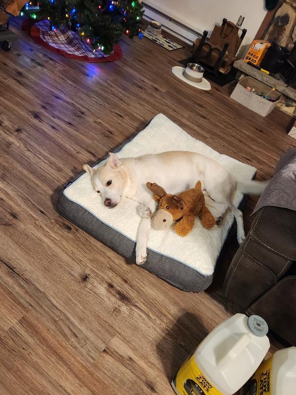 FRISCO Plush Pillow Cat & Dog Bed w/ Removable Cover, Gray, XLarge