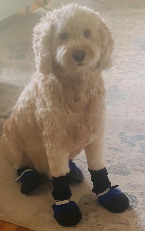 These boots are made for walking