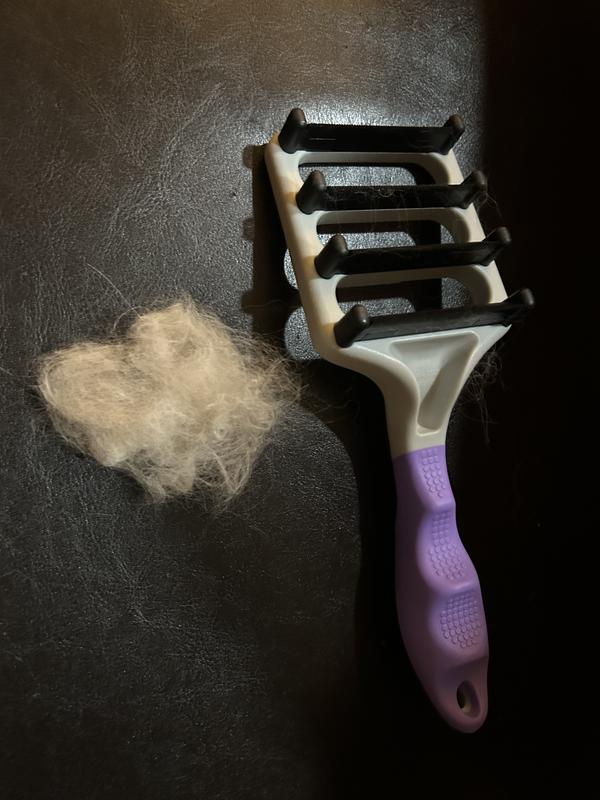 Amount of fur removed after five minutes of brushing