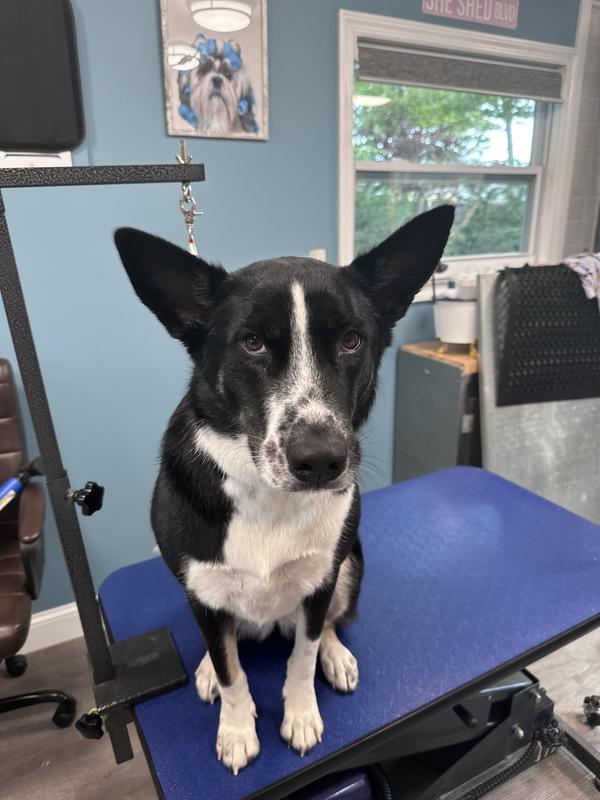 I look miserable but I’m not lol