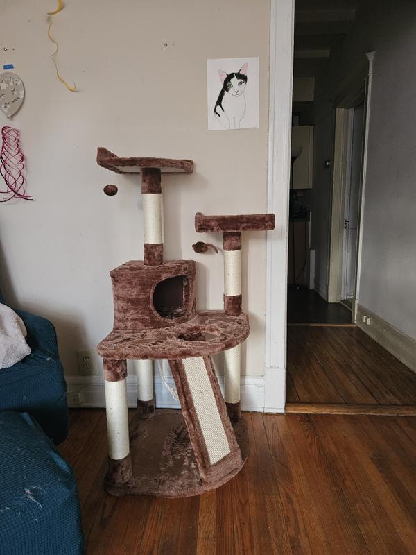 Wish cat tree review sale