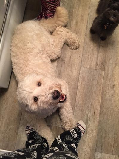 Helping Mom make dog cookies!