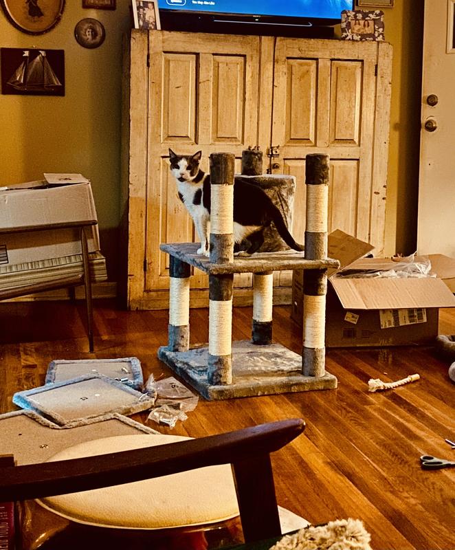 They were excited before it was even done…