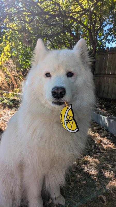 Feeling fresh with our potty pick up