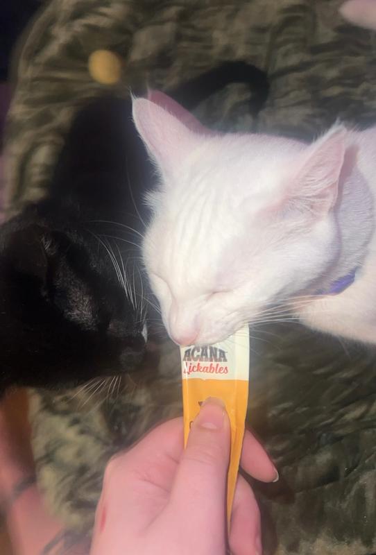 They love these treats!