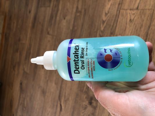 Dentahex oral rinse cheap for dogs