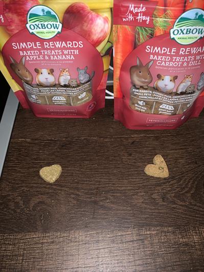 Oxbow Simple Rewards - Dolcetti Alla Fragola Per Piccoli Animali 14,2 G - Foto 9