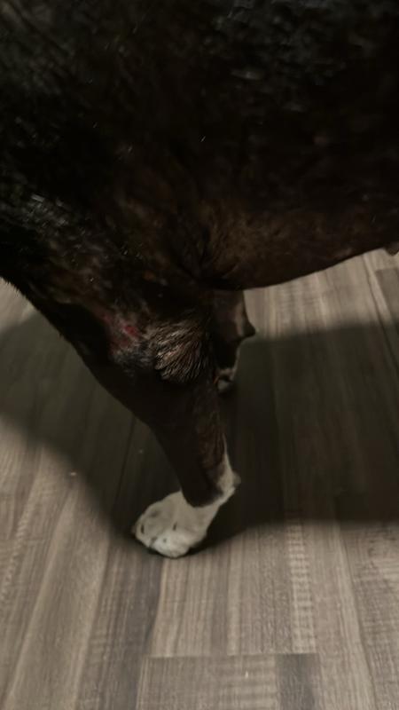 This is my poor baby