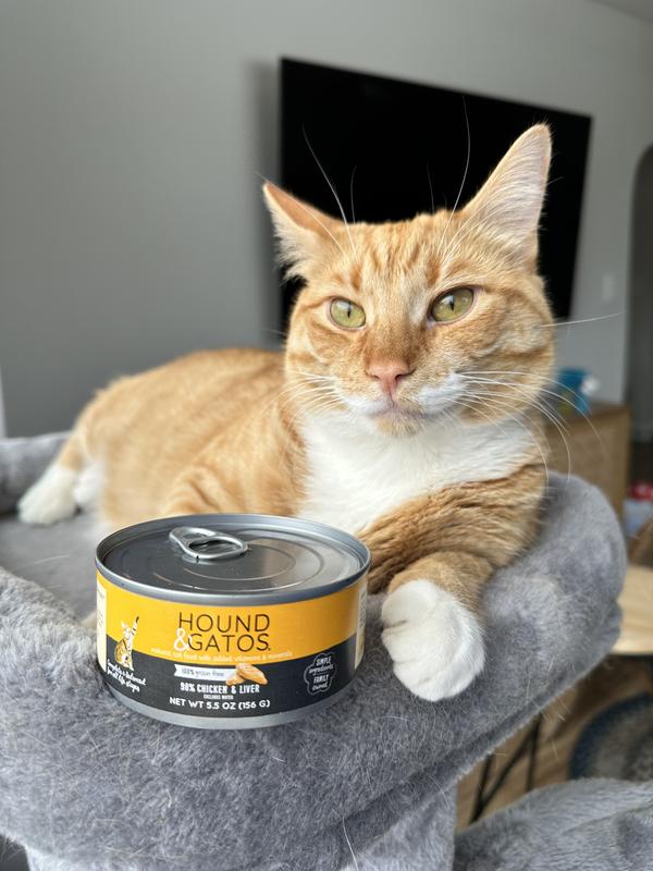 Hound and gatos 2024 canned cat food