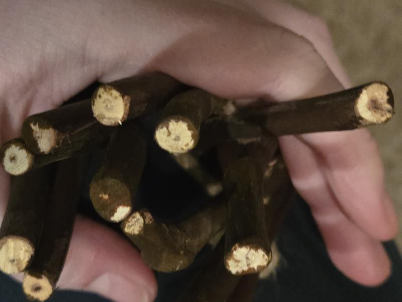 Brown paint / stain of unknown properties on "untreated" "apple" sticks.