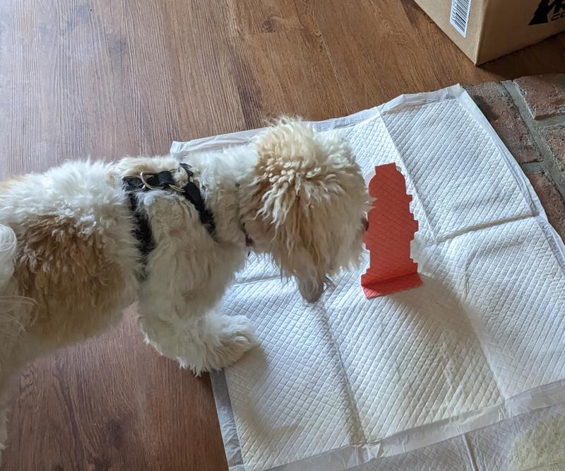 Pop up dog pee hot sale pad