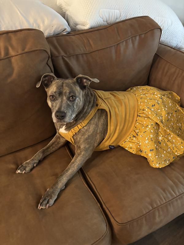 Autumn overall dress.