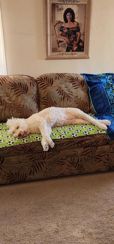 Irritation free on my skin around vulva