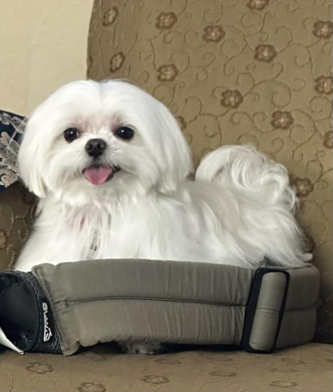 Nino gives it five stars