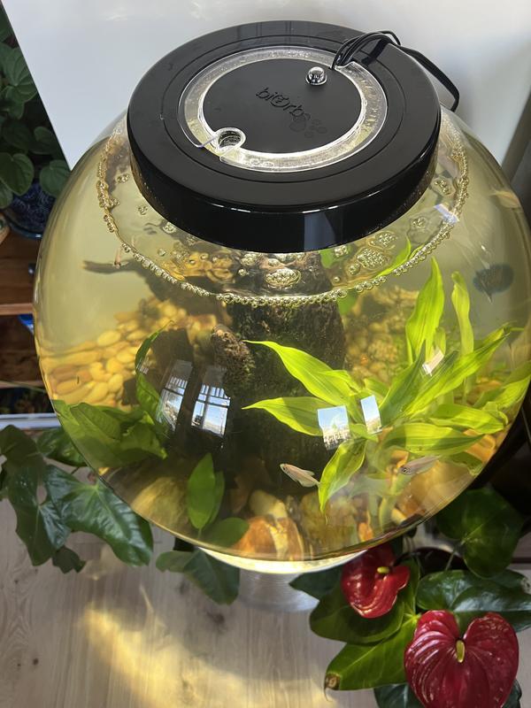 I purchased the more expensive lighting system.