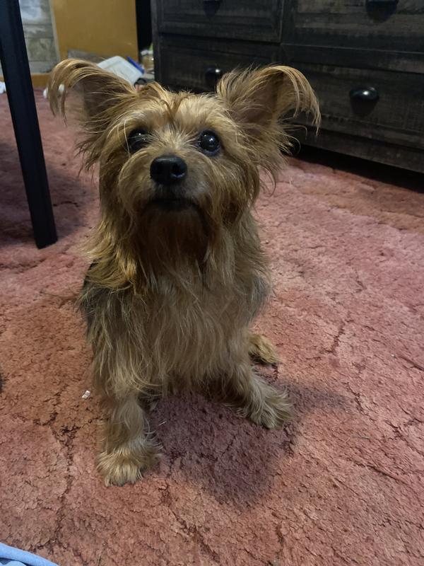 Misti Rae 11 1/2 years