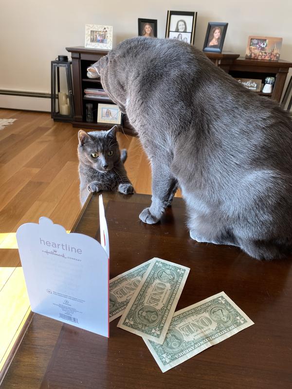 Reed guarding the money.