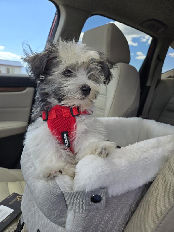 Ready to go for a ride!