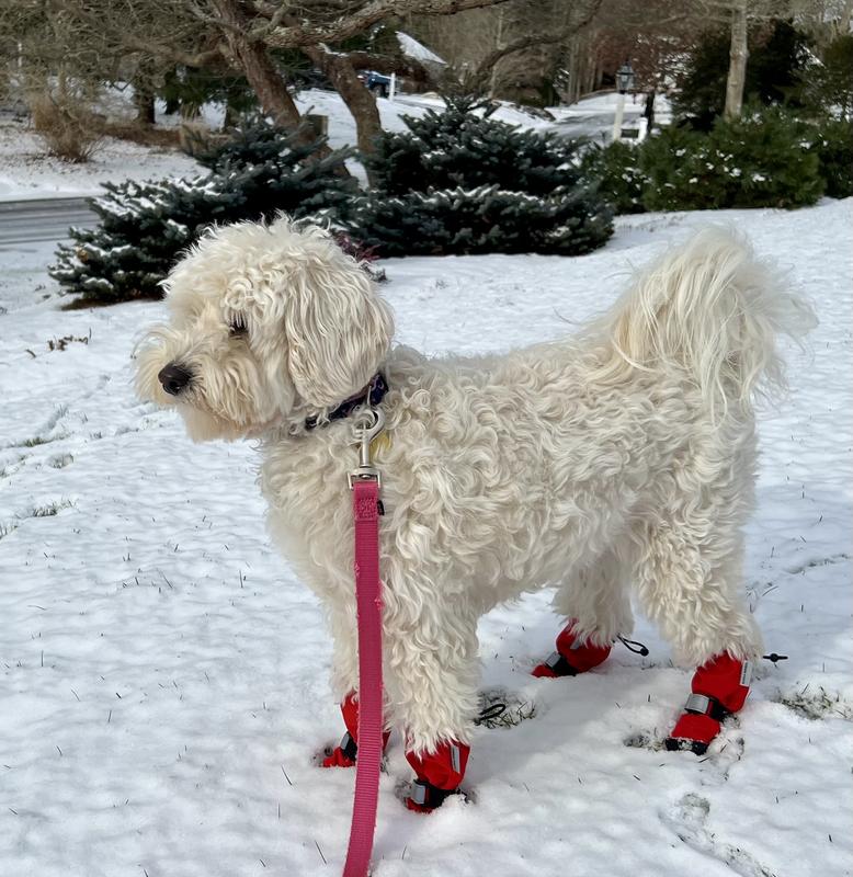 Out of Stock CANADA POOCH Soft Shield Dog Boots, Green Camo