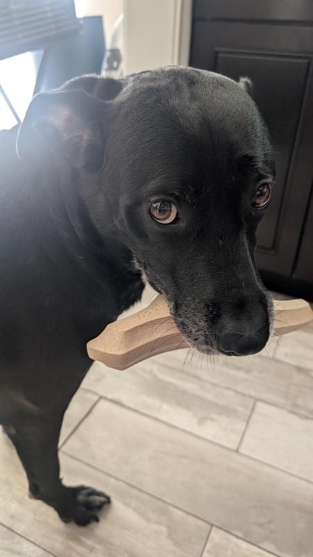 No take, only throw