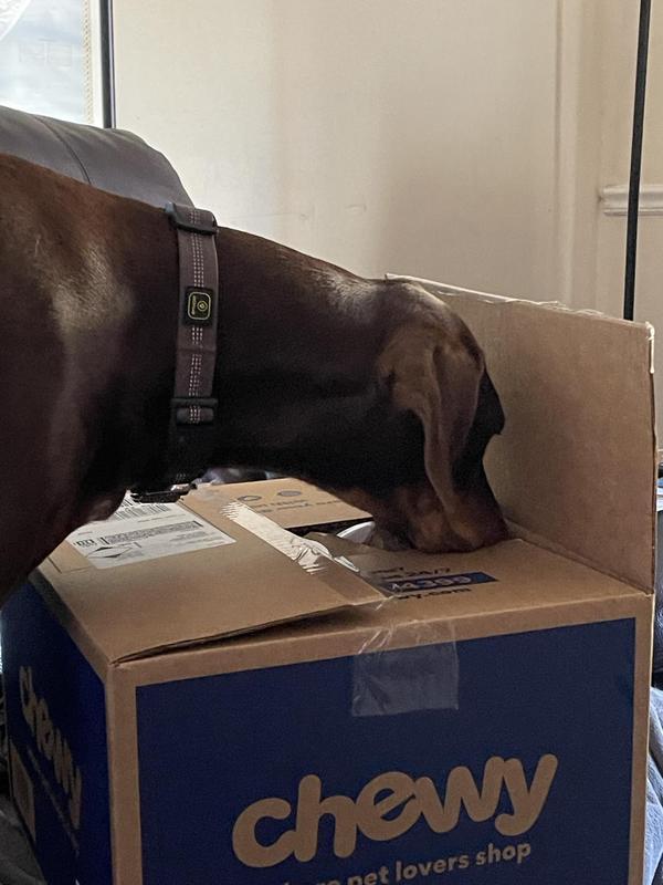 Something smells delicious!