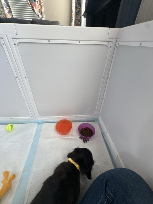 Pup enjoying his space