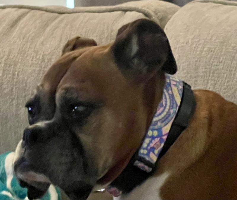 Pretty colors, good locking mechanism