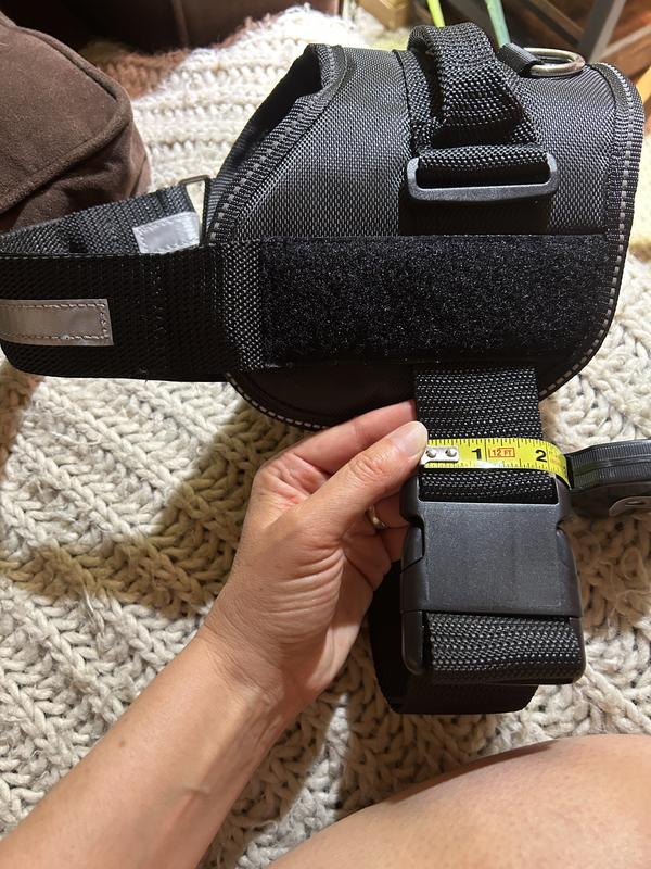 Smallest length of front strap is 11”. Girth strap and buckle about 2” wide and fixed in that location.