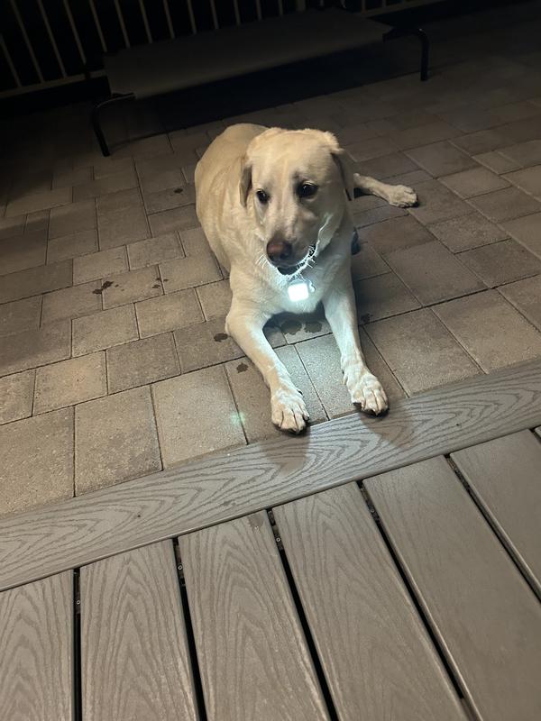 Walking light wouldn’t be without one!