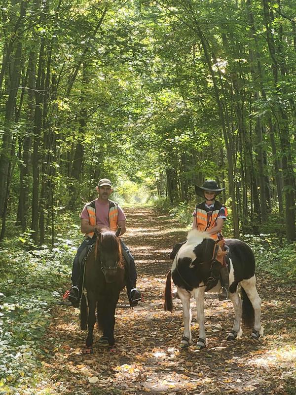 2 Icelandic horses. Gunnthor and Ragnar