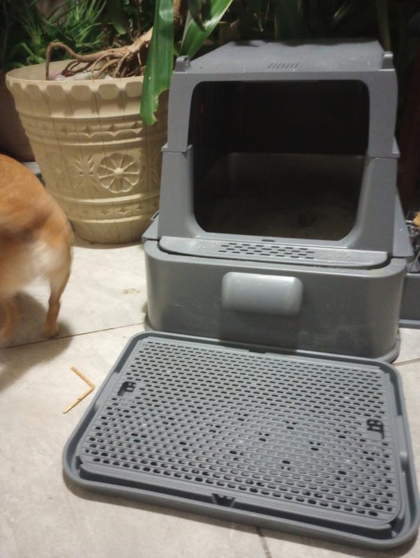 It comes with a litter catching tray