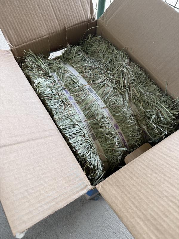 Packed really nicely