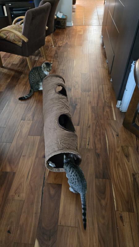 Stylish design and fun toy for cats and kittens alike!