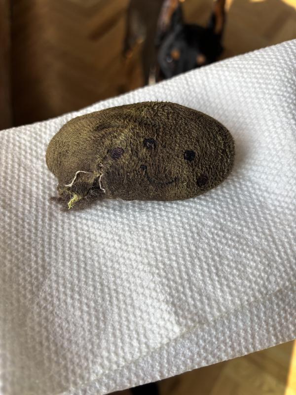 Popcorn bucket burrow