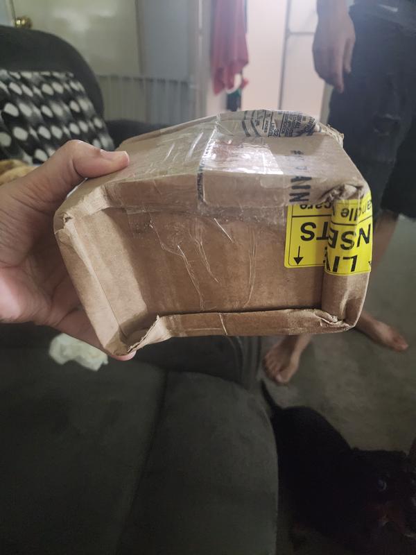 Box with no air holes, crushed