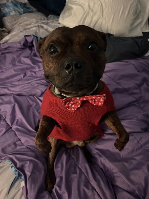 My handsome little valentine